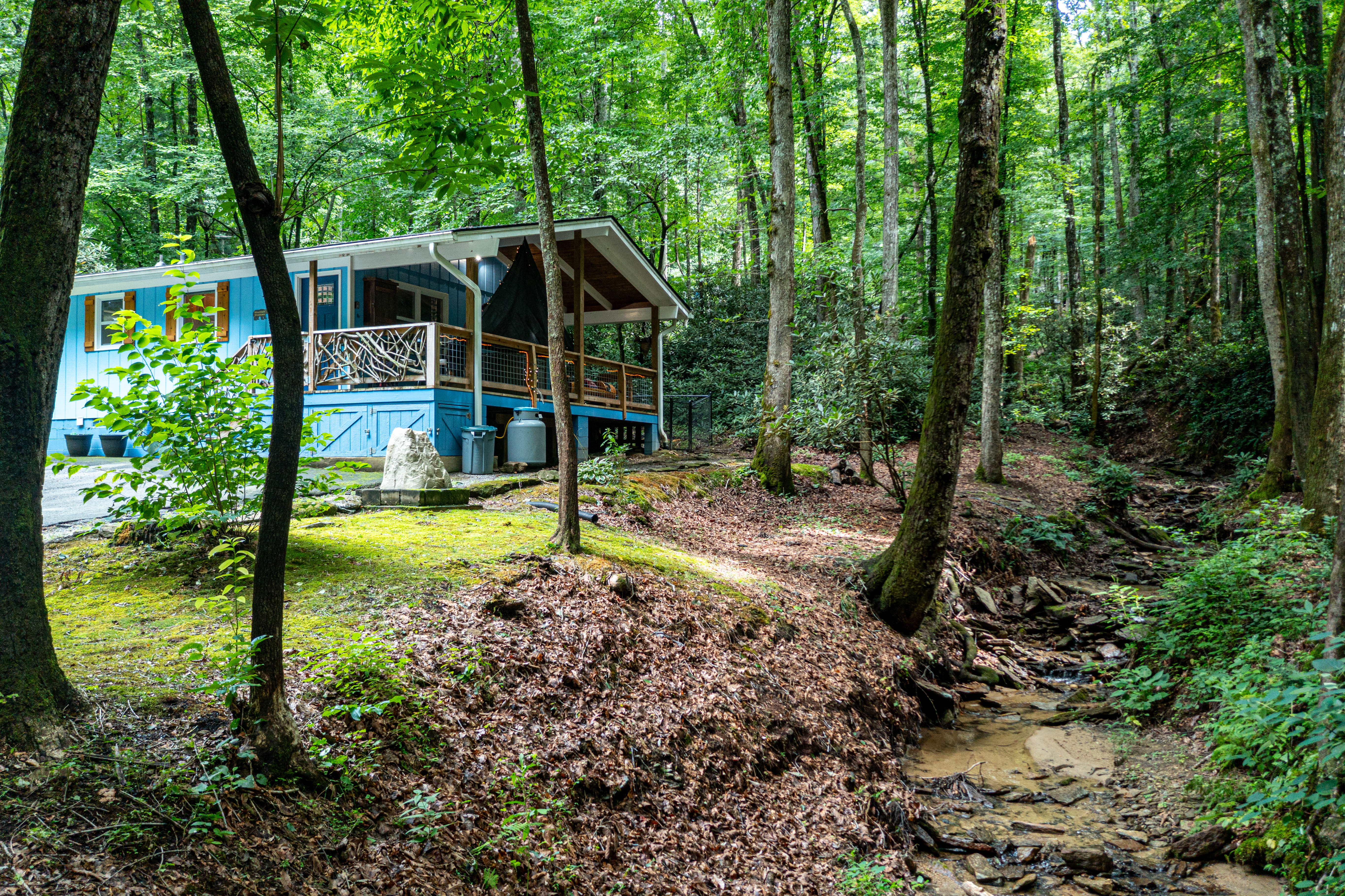 Cottage Photo