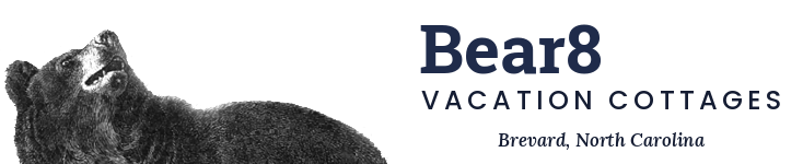 Bear8.com Logo