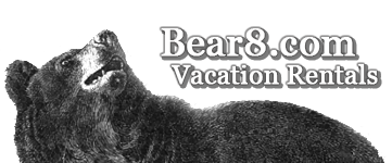 Bear8.com Logo