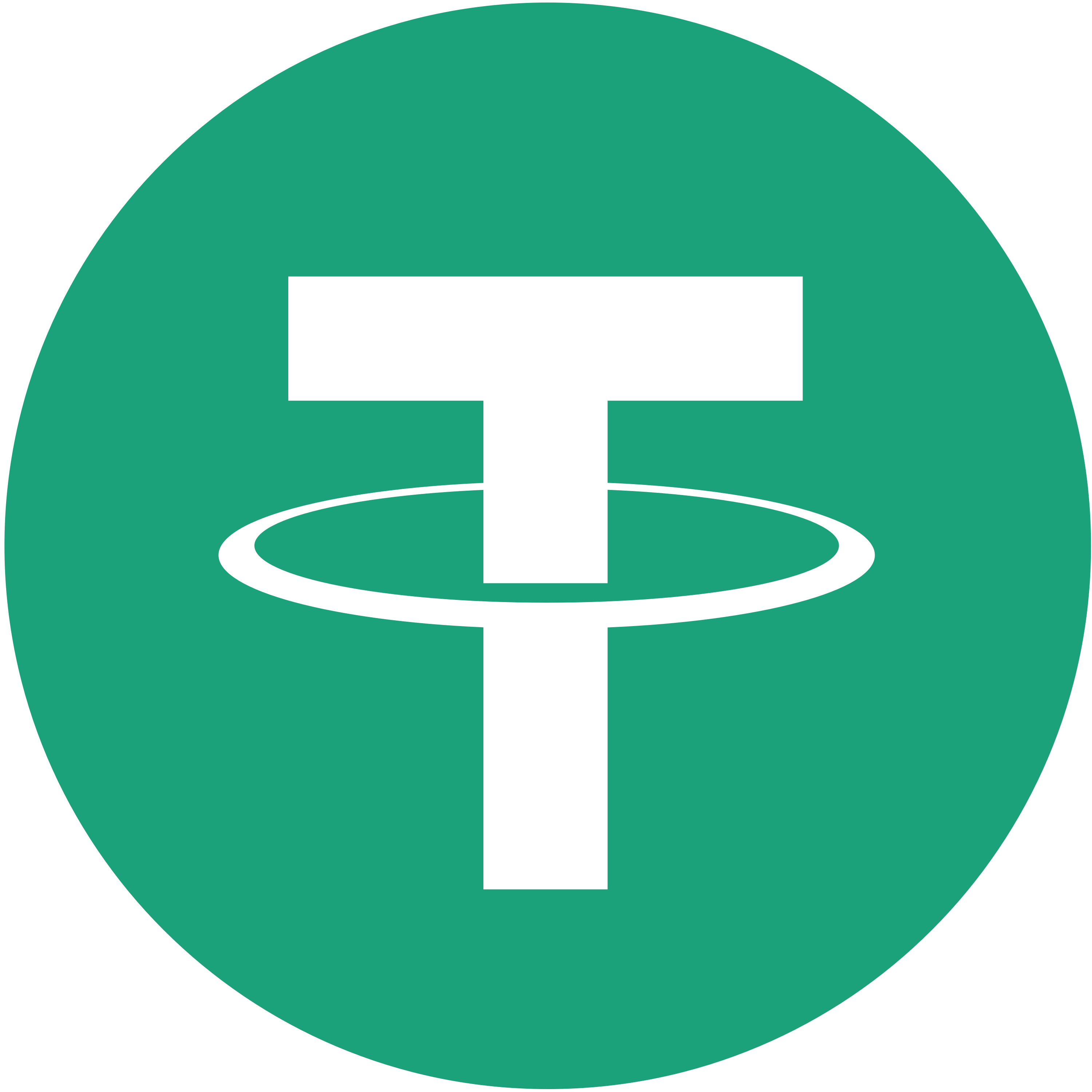 We accept Tether USD (USDT) and other altcoins