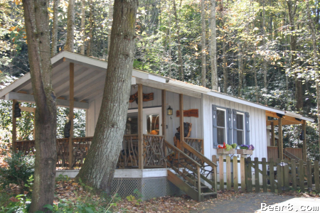 Bear8 Com Vacation Rentals In Brevard Nc Cottages And Homes In