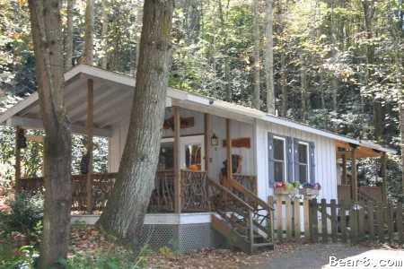 Bear8 Com Vacation Rentals In Brevard Nc Cottages And Homes In