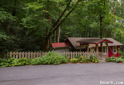 Bear8 Com Vacation Rentals In Brevard Nc Cottages And Homes In